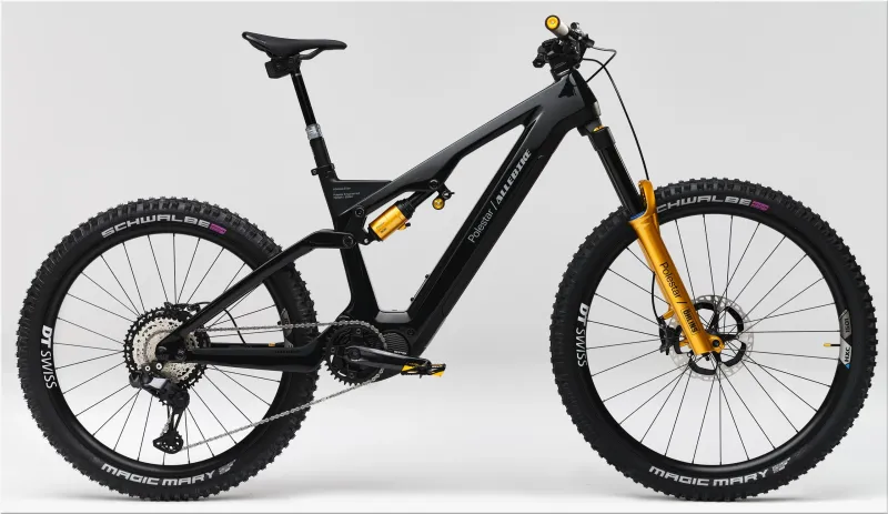 Allebike Elize