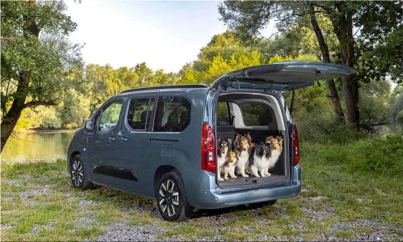 Opel Combo Electric