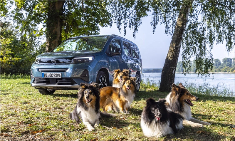 Opel Combo Electric