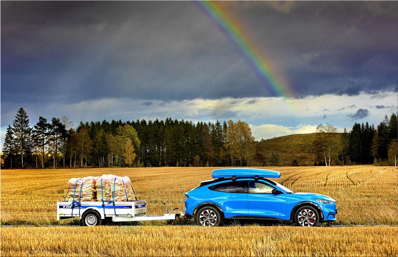 Ford Mustang Mach-E x Ford BlueCruise