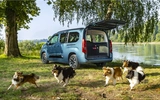 Opel Combo Electric: Dog-Friendly Family EV with 344 km Range